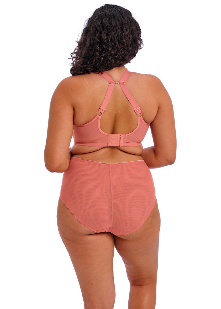 Plus size briefs
