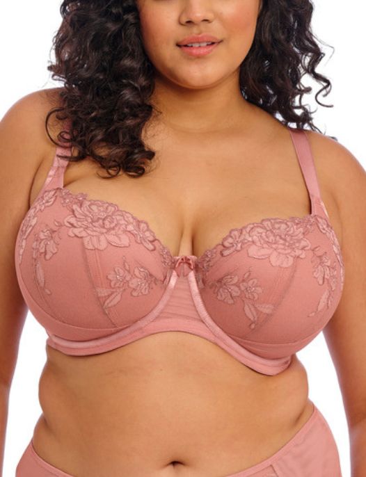ELOMI TEAGAN PADDED HALF CUP