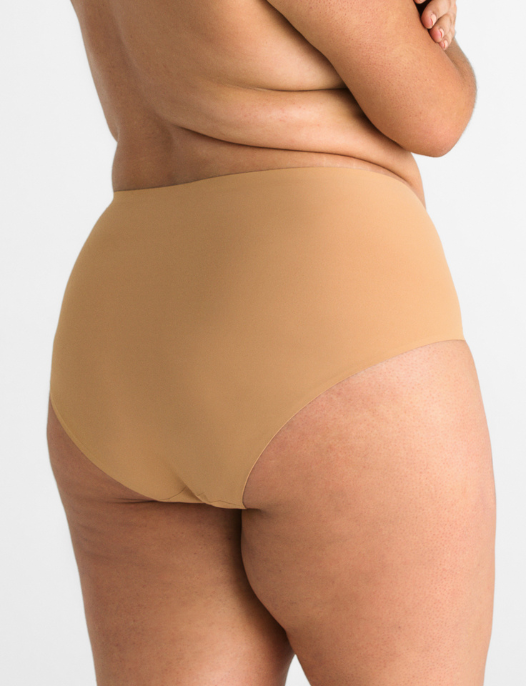 plus size seamfree full briefs