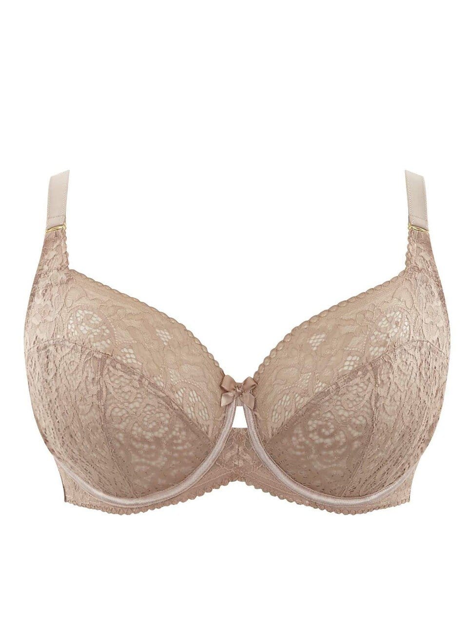 plus size bras