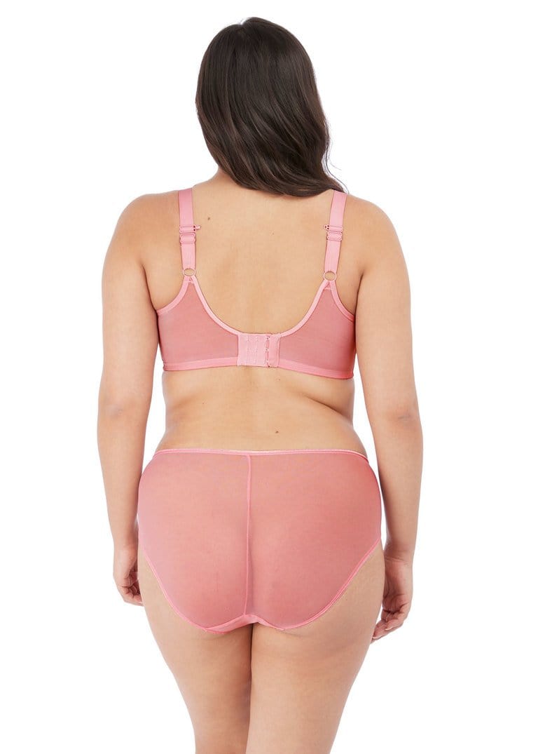 Elomi-Matilda Brief-she-science-sports-bra-australia
