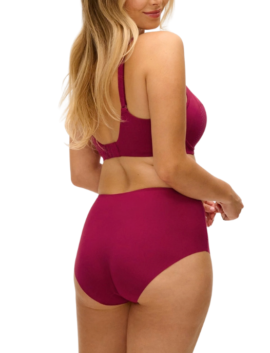 Fantasie red full brief
