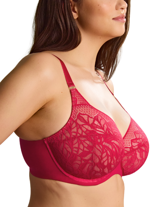 Sculptresse Sophia Full Cup