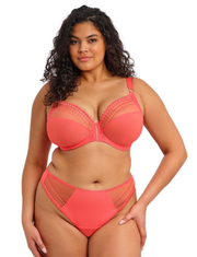 Elomi Matilda Underwire Plunge Bra