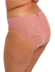 plus size briefs