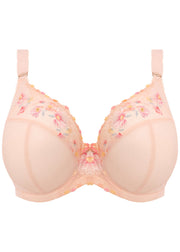 Elomi Himari stockist