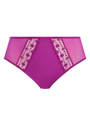 Elomi Matilda brief purple