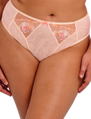 Himari High Leg Brief