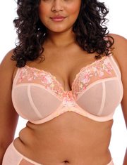 Elomi Himari Plunge Bra