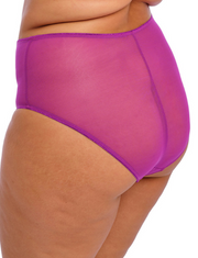 Plus size elomi briefs
