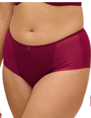 FANTASIE EVOLUTION COMFORT FULL BRIEF #FL104451RUY RUBY
