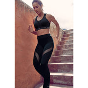 Shock Absorber-Ultimate Run Bra - Padded-she-science-sports-bra-australia