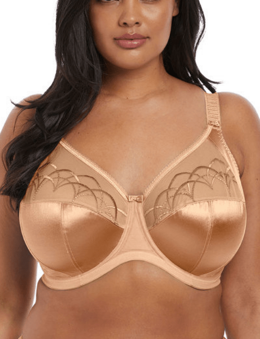 Elomi Cate Full Cup Banded Bra – Rosewood - Sports Bras Direct