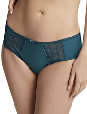 panache cari lingerie brief